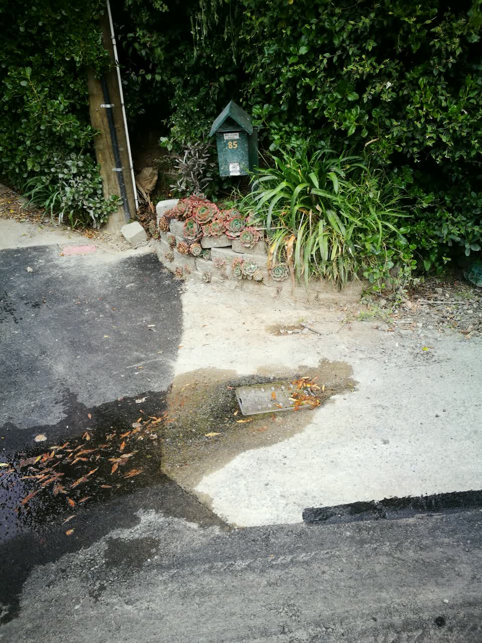 The photograph attached to this water supply report