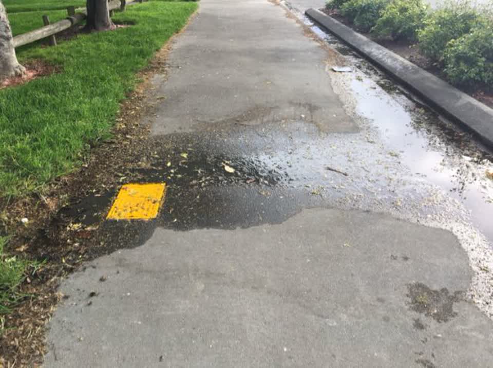 The photograph attached to this water supply report