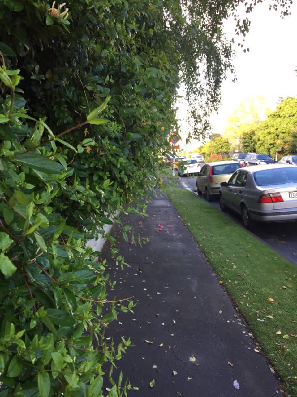 The photograph attached to this roading/streets report