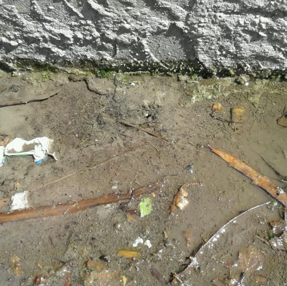 The photograph attached to this water supply report
