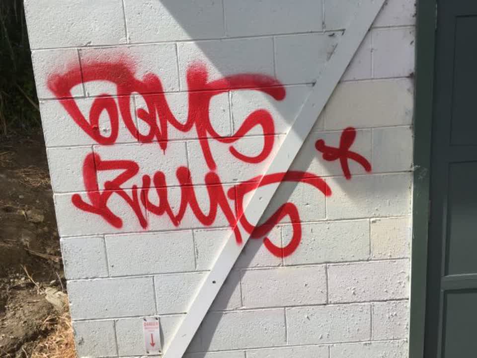 The photograph attached to this graffiti report