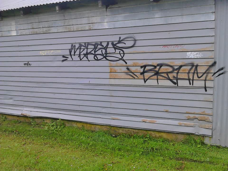The photograph attached to this graffiti report