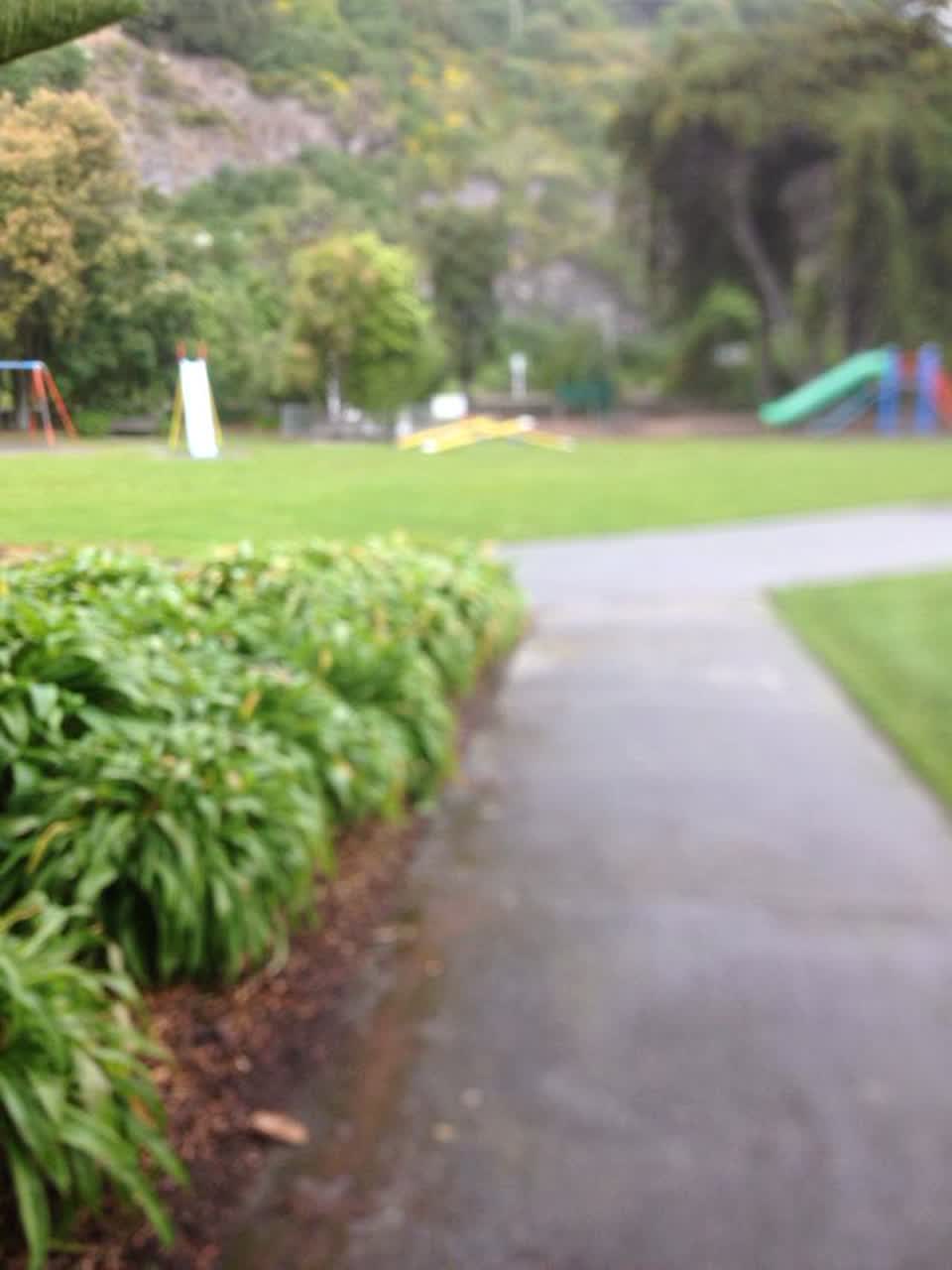 The photograph attached to this parks report