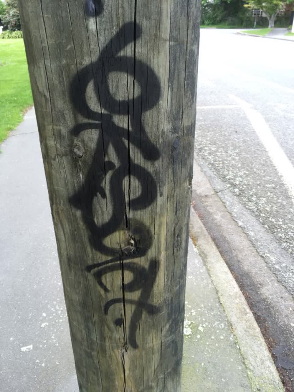 The photograph attached to this graffiti report