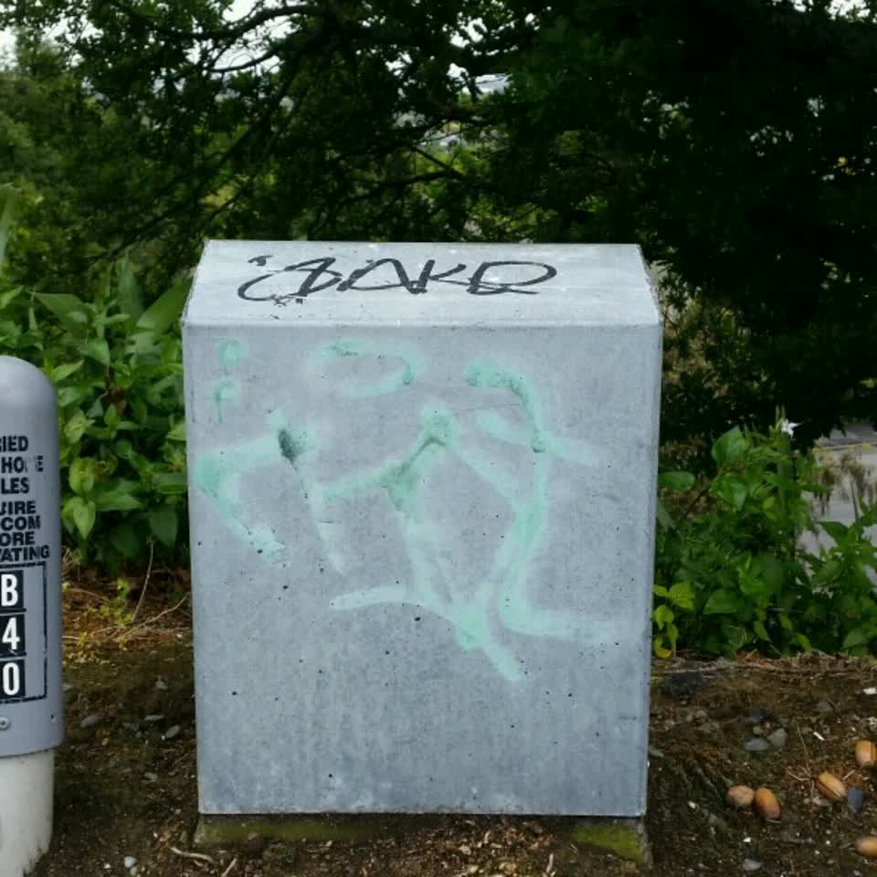 The photograph attached to this graffiti report