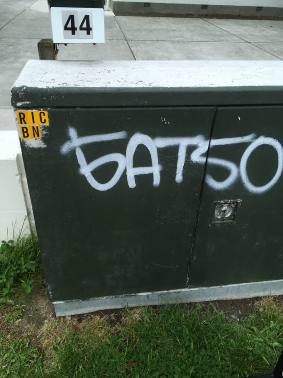 The photograph attached to this graffiti report