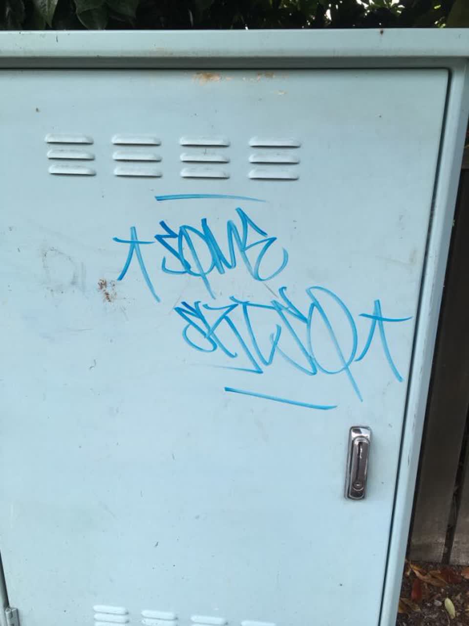 The photograph attached to this graffiti report