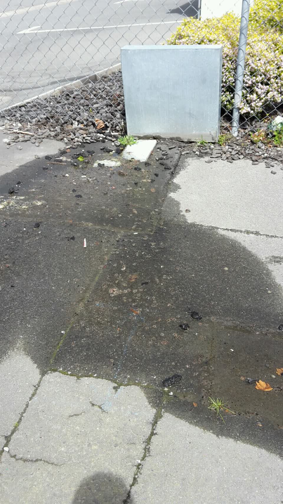The photograph attached to this water supply report