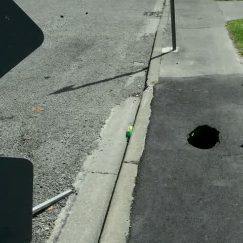 Roading/Streets, a report photo
