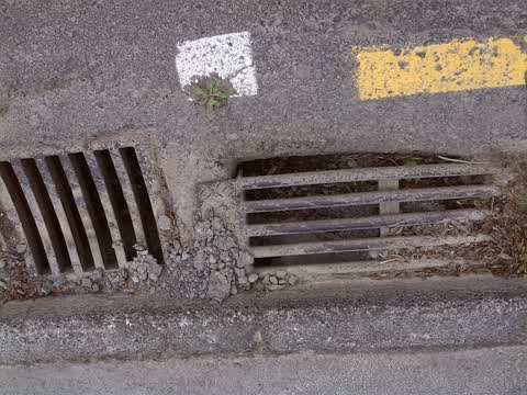 Wastewater/Stormwater, a report photo