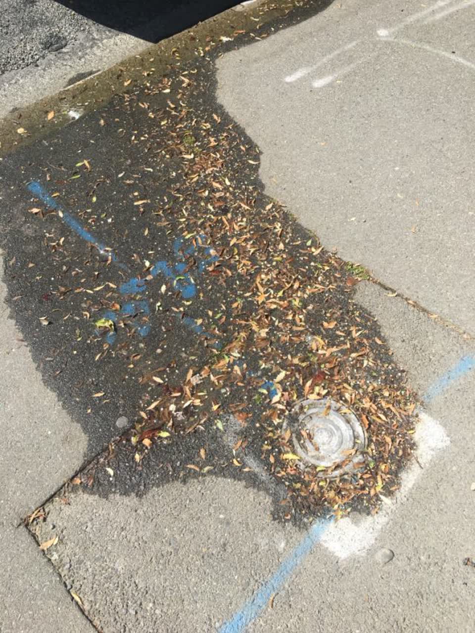 The photograph attached to this water supply report