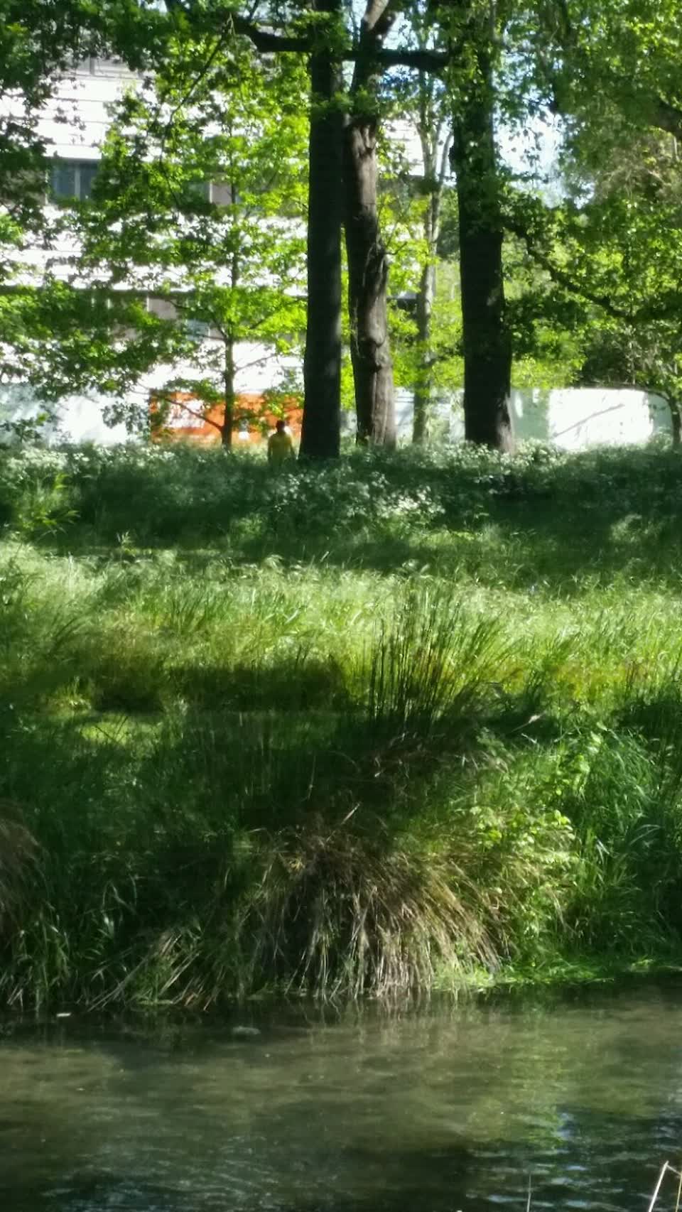 The photograph attached to this parks report