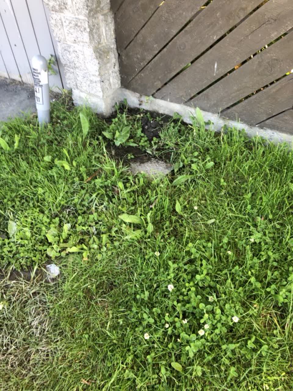 The photograph attached to this water supply report