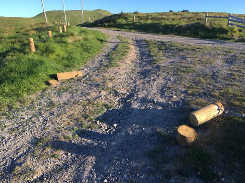 The photograph attached to this parks report