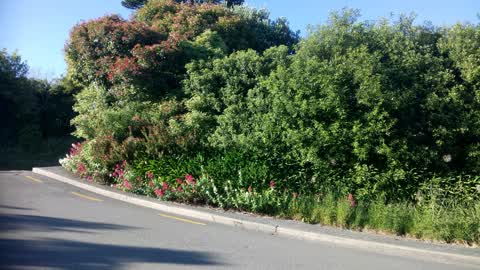 Roading/Streets, a report photo