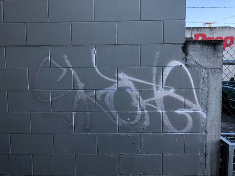 The photograph attached to this graffiti report