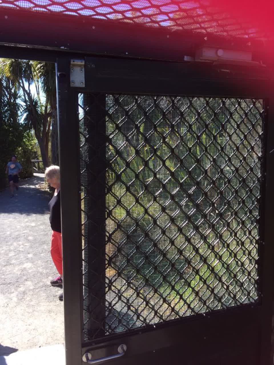The photograph attached to this parks report