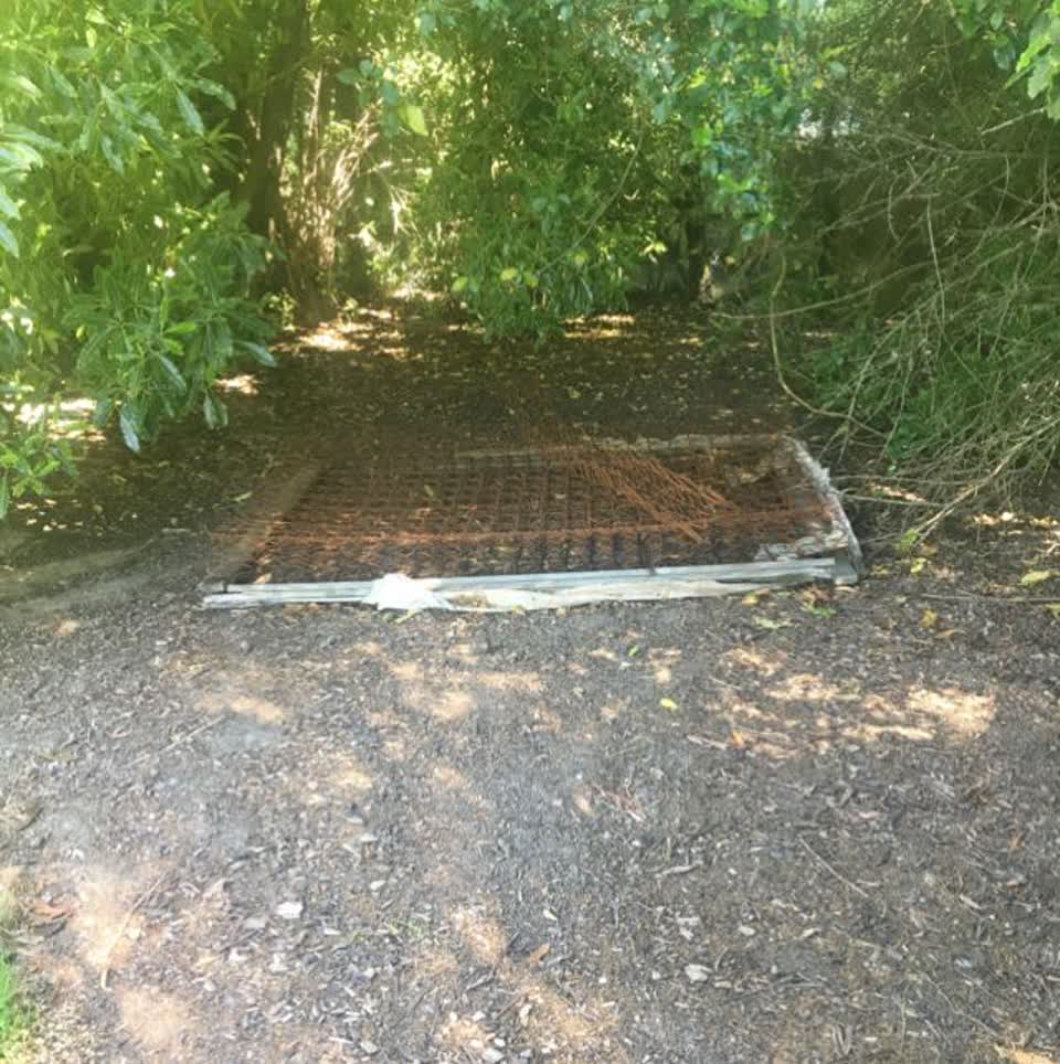 The photograph attached to this parks report