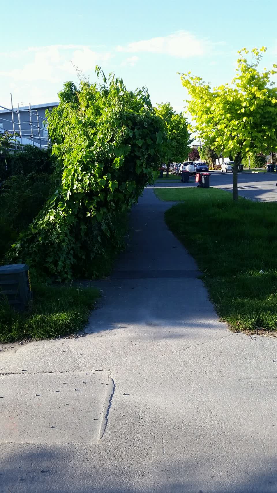 The photograph attached to this roading/streets report