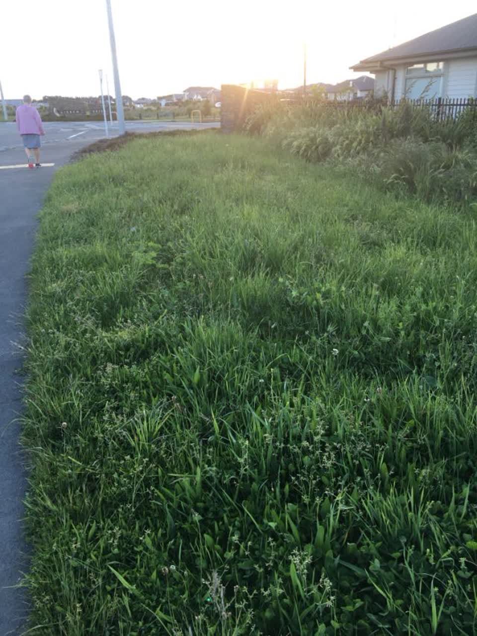 The photograph attached to this parks report