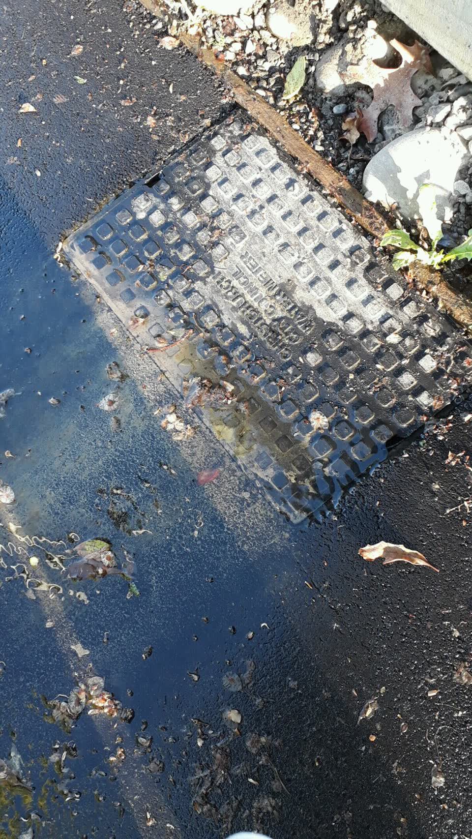 The photograph attached to this water supply report