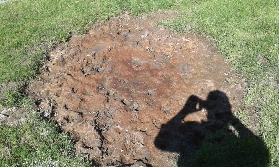 The photograph attached to this wastewater/stormwater report