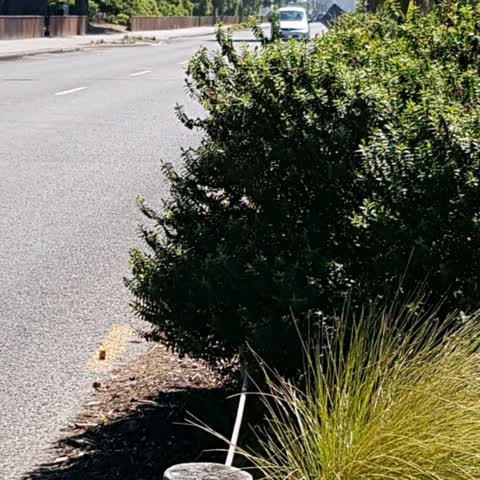 Parks, a report photo