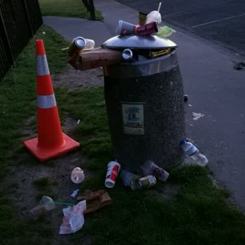 Parks, a report photo