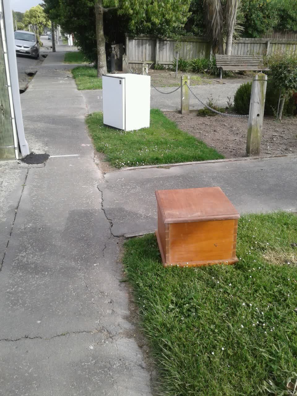 The photograph attached to this parks report