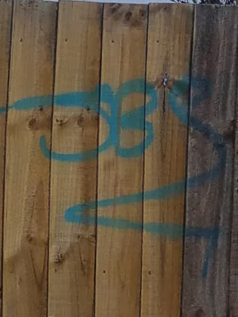 Graffiti, a report photo