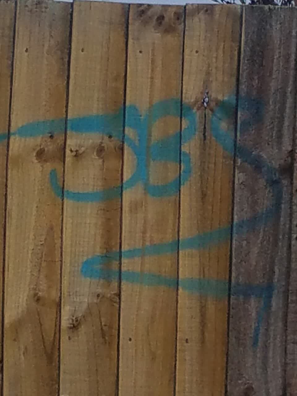 The photograph attached to this graffiti report
