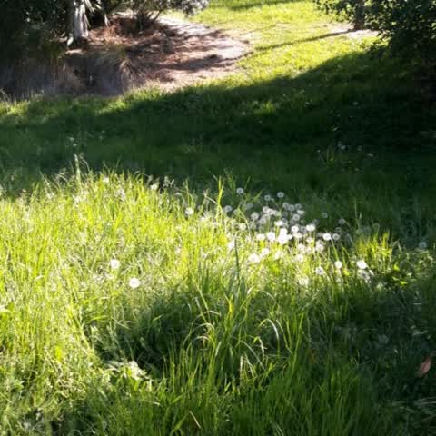 Parks, a report photo