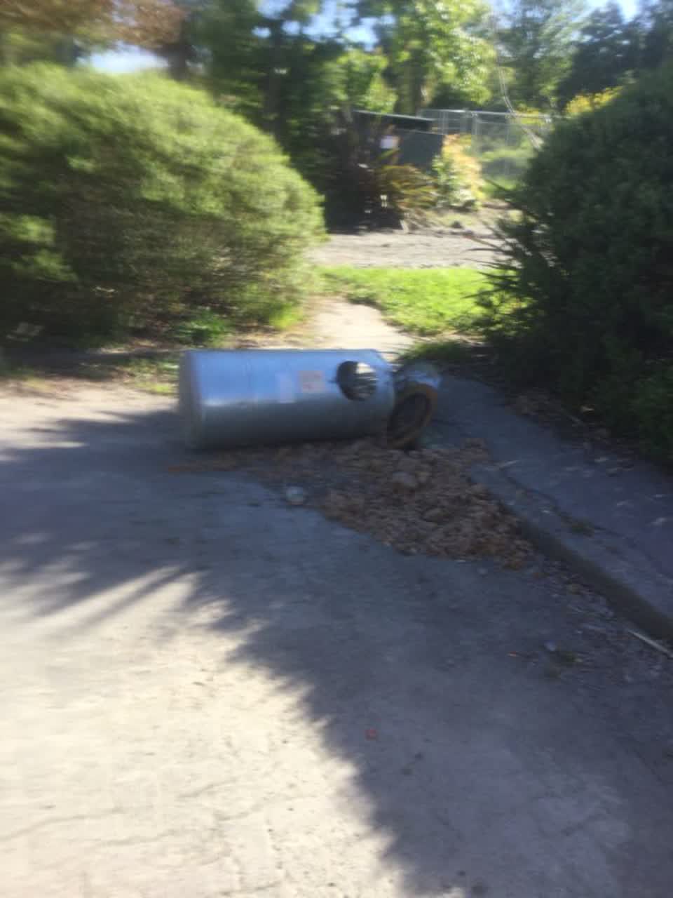 The photograph attached to this rubbish/recycling report