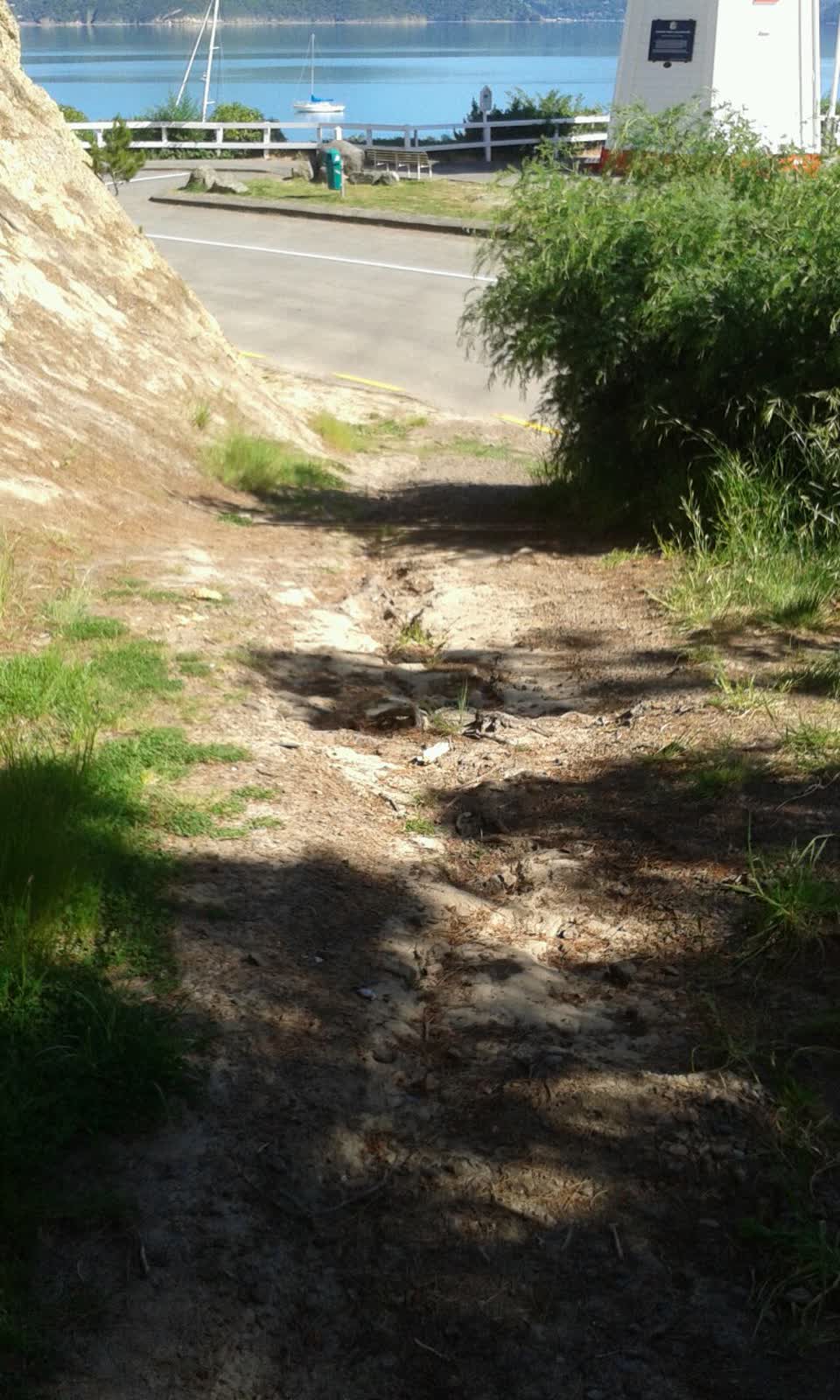 The photograph attached to this parks report