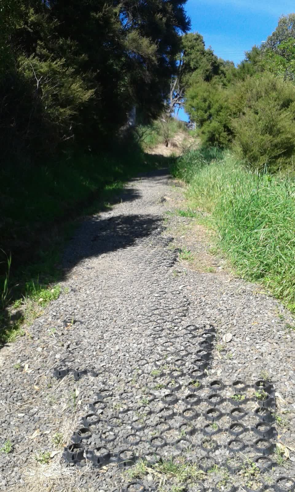 The photograph attached to this parks report