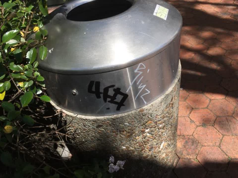 The photograph attached to this graffiti report