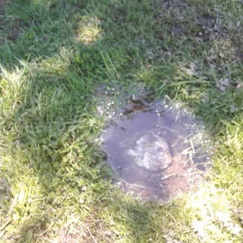 Wastewater/Stormwater, a report photo