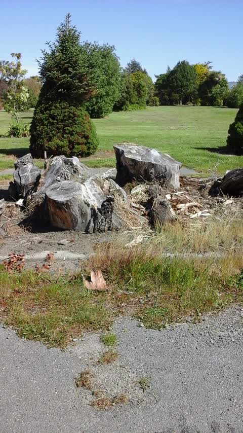Roading/Streets, a report photo