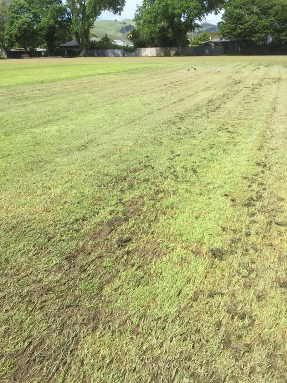 The photograph attached to this parks report