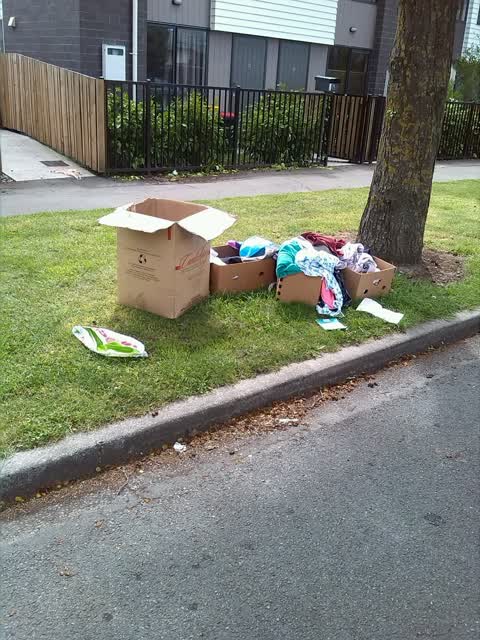 Rubbish/Recycling — a report photo