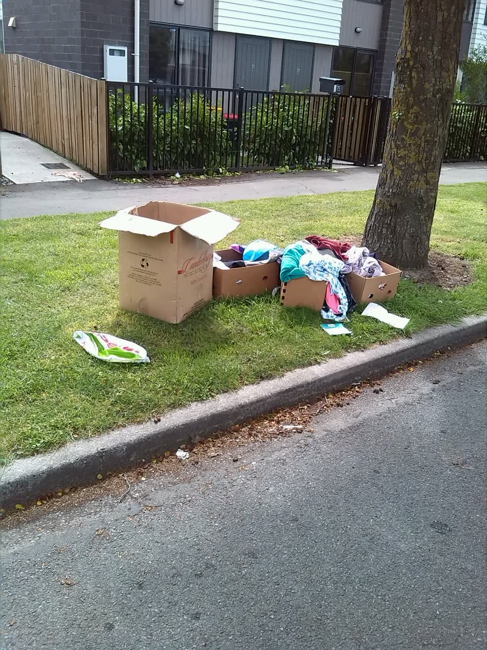 The photograph attached to this rubbish/recycling report