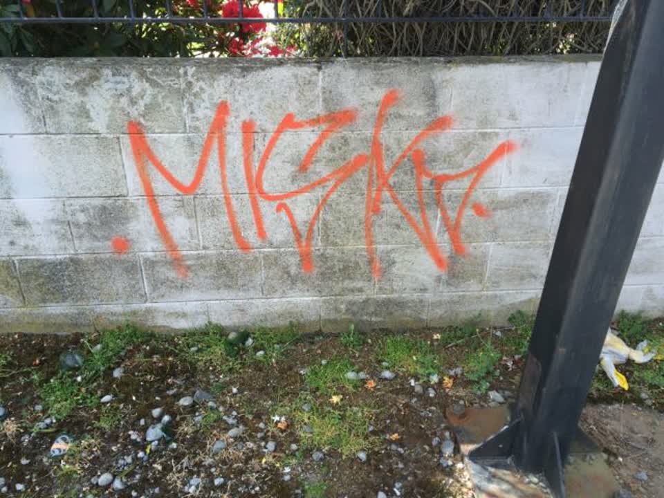 The photograph attached to this graffiti report