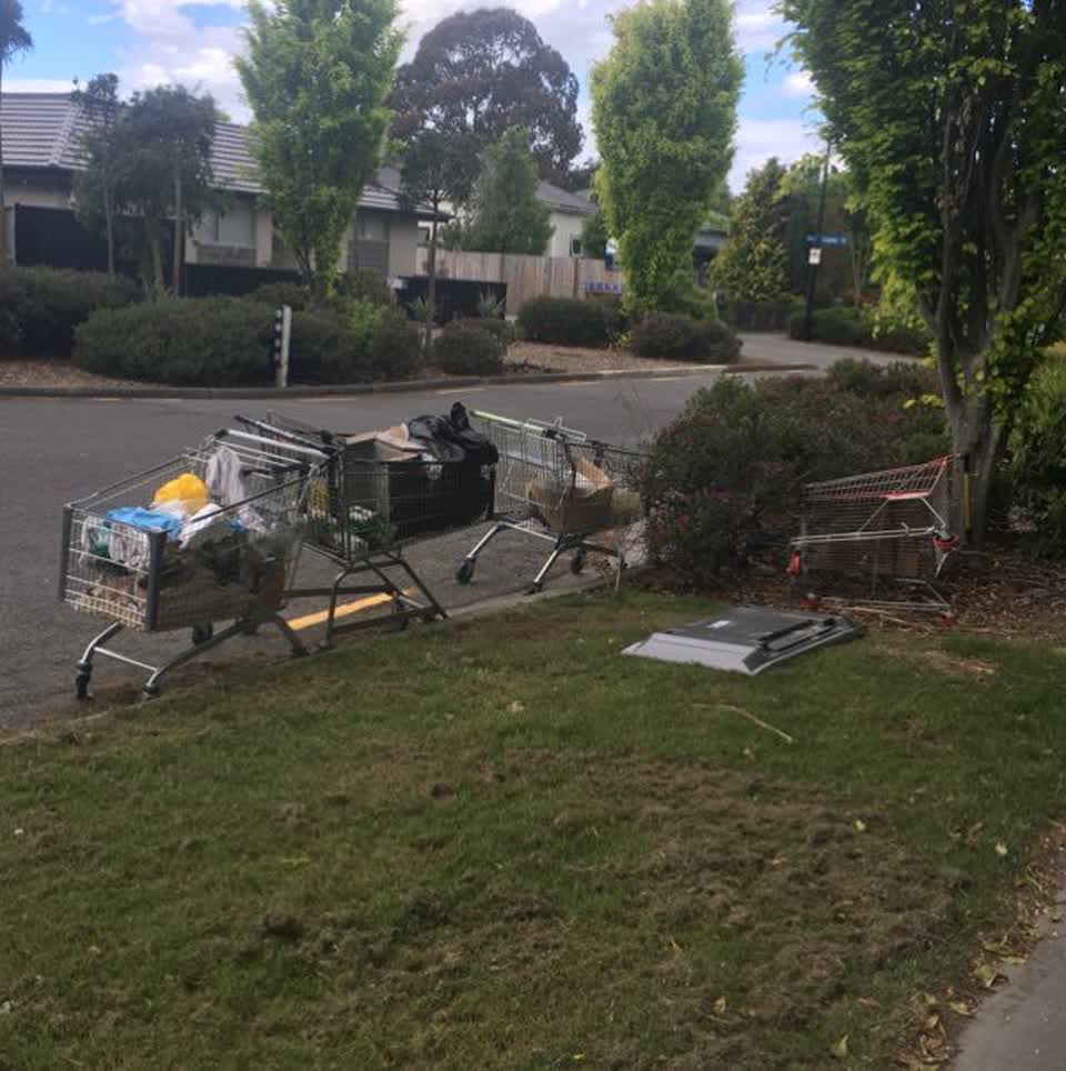 The photograph attached to this parks report