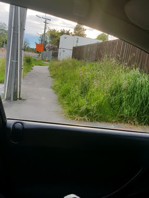 Roading/Streets, a report photo