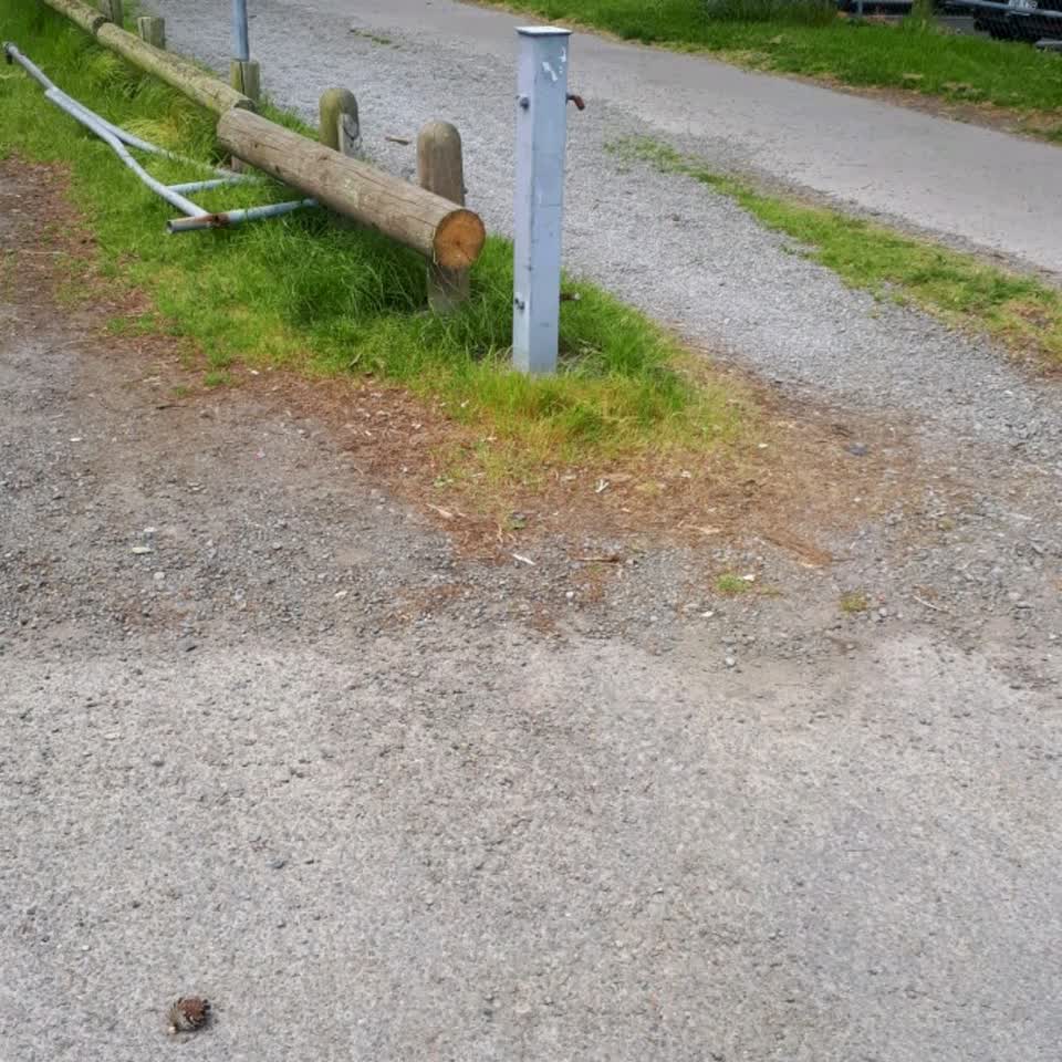The photograph attached to this parks report