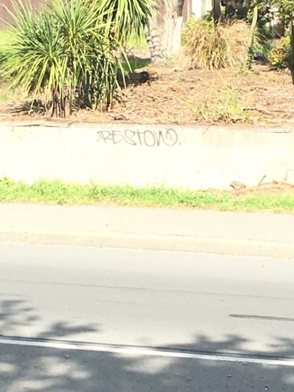 The photograph attached to this graffiti report