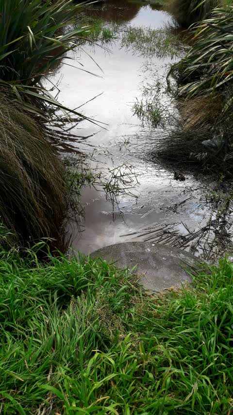 Wastewater/Stormwater, a report photo