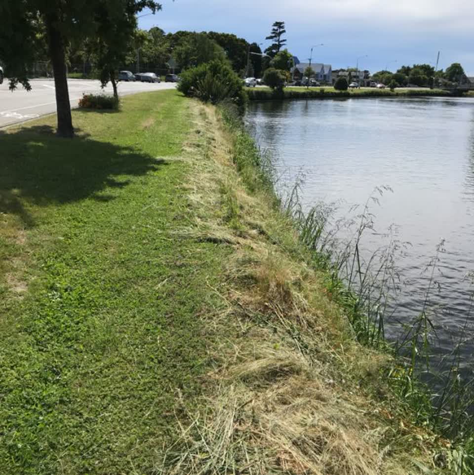 The photograph attached to this parks report