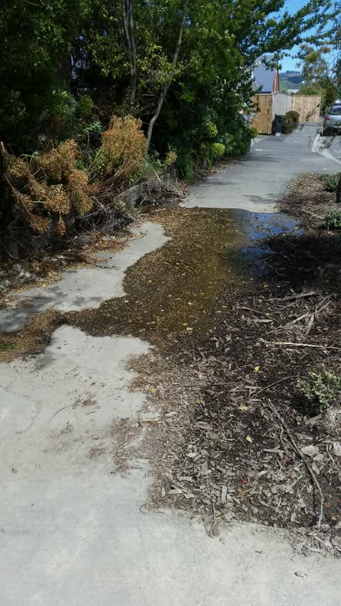 Water Supply, a report photo
