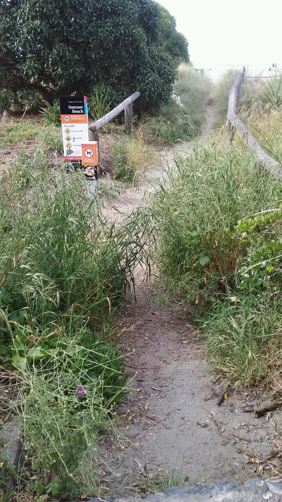 The photograph attached to this parks report